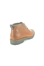 Berkelmans 14089 cognac bruin