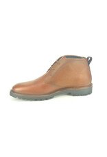 Berkelmans 14089 cognac bruin