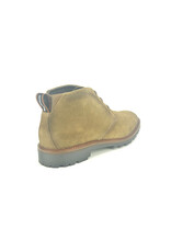 Berkelmans 14090 taupe