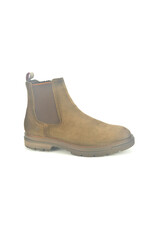 Berkelmans 14091 bruin