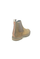 Berkelmans 14091 bruin