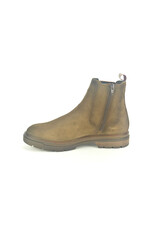 Berkelmans 14091 bruin