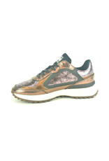 Floris van Bommel 14070 brons