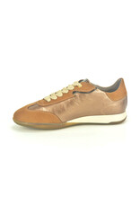 DL-Sport 14142 cognac bruin