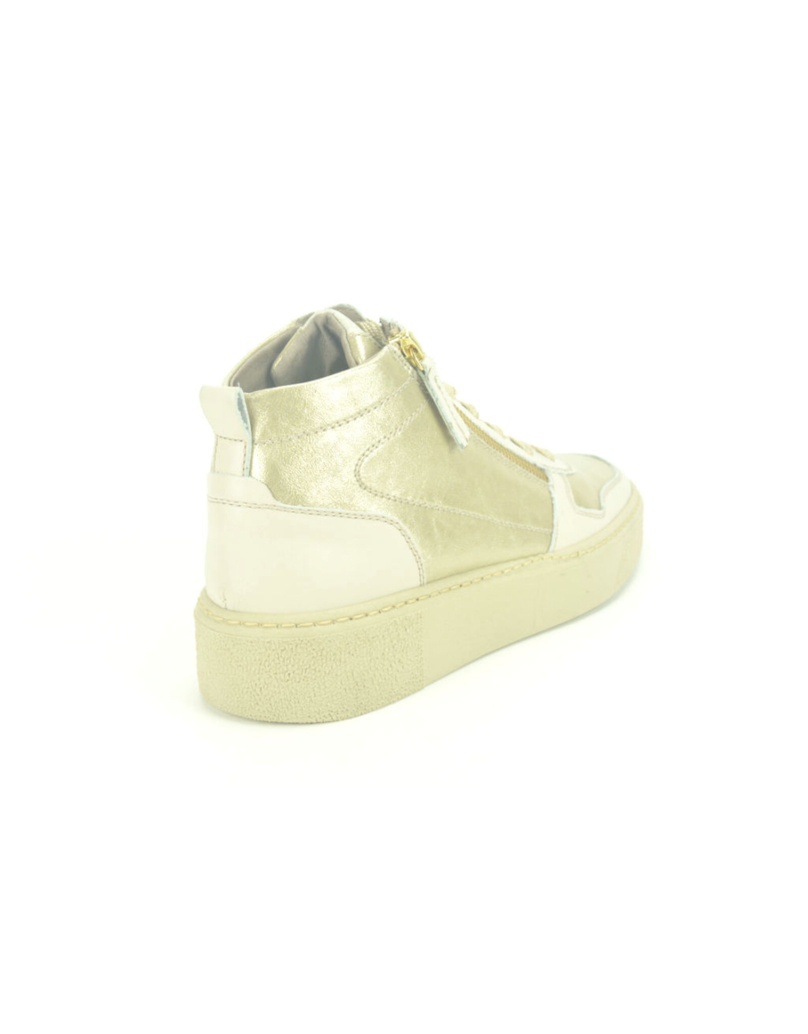 DL-Sport 14145 beige