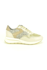 DL-Sport 14146 beige