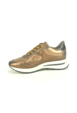 DL-Sport 14148 brons
