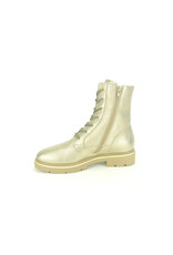 DL-Sport 14153 goud