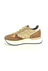 Sun68 15000 camel