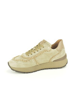 Gabor 15020 taupe