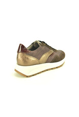DL-Sport 15280 bruin