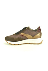 DL-Sport 15280 bruin