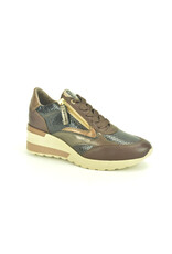 DL-Sport 15281 bruin