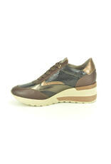 DL-Sport 15281 bruin