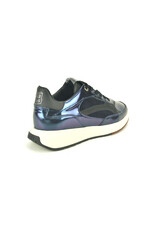 Floris van Bommel 15315 blauw