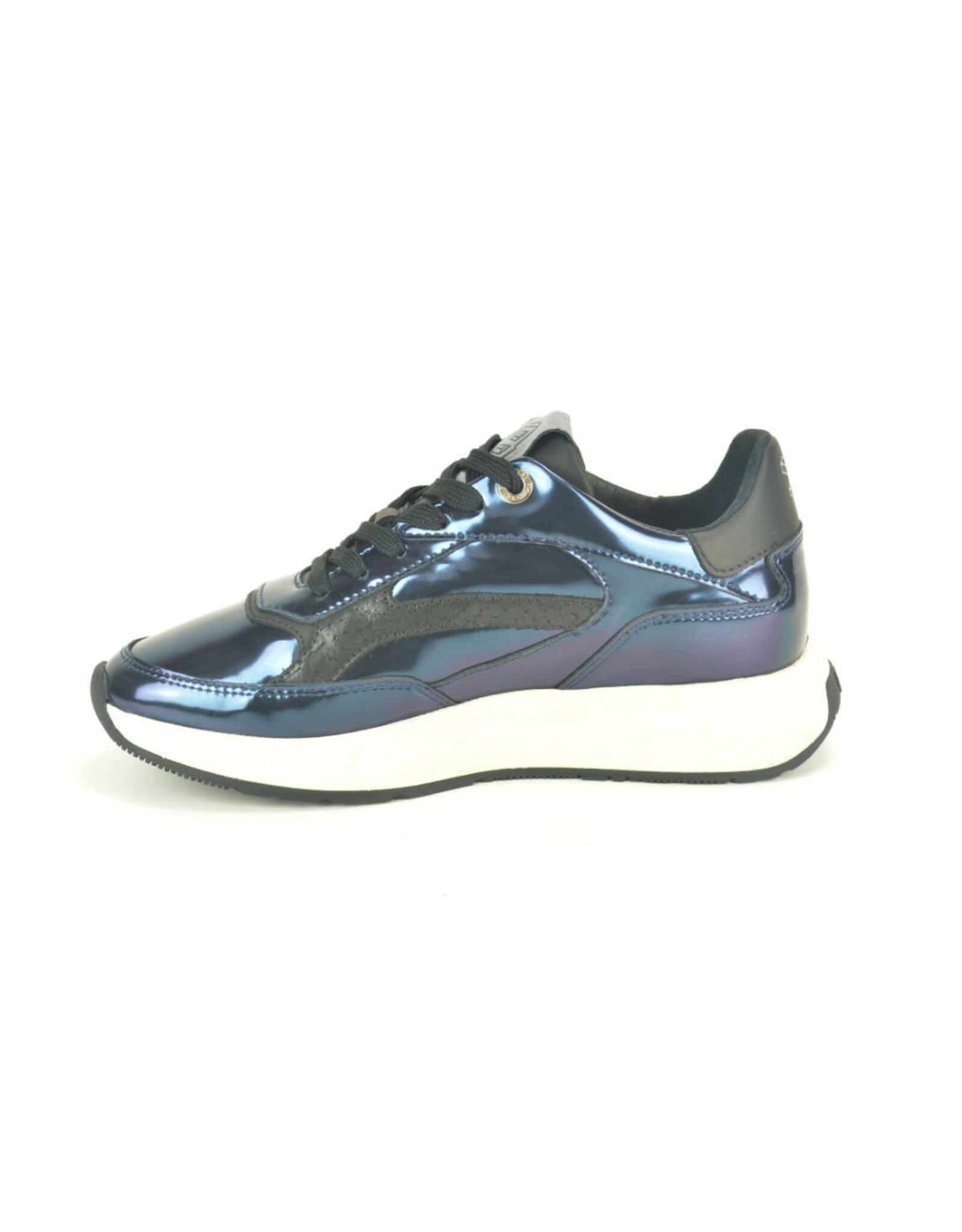 Floris van Bommel 15315 blauw