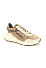 Floris van Bommel 15316 beige