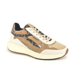 Floris van Bommel Sneaker Floris van Bommel