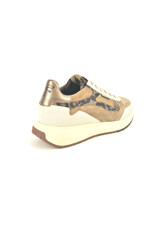Floris van Bommel 15316 beige