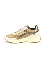 Floris van Bommel 15316 beige