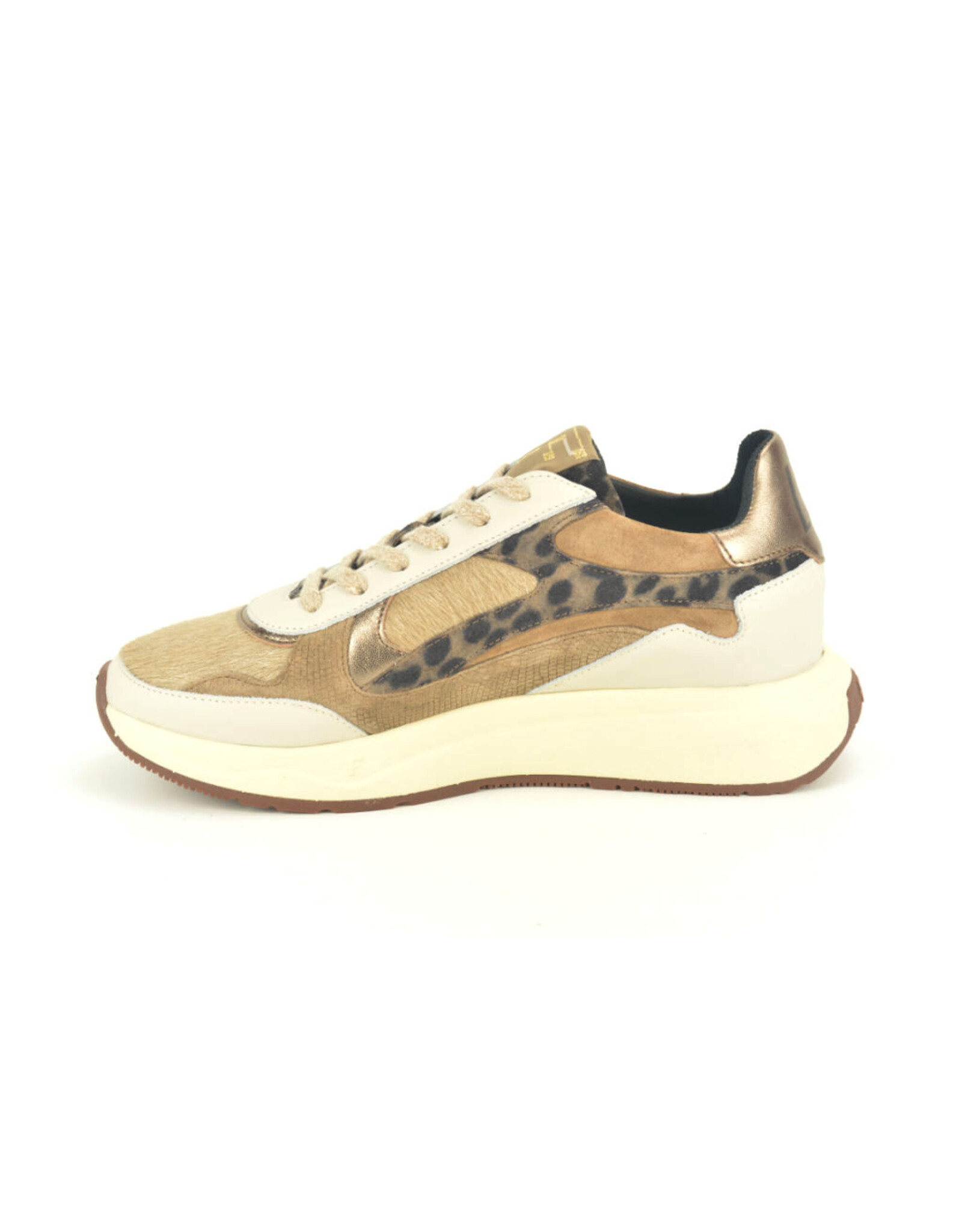 Floris van Bommel 15316 beige