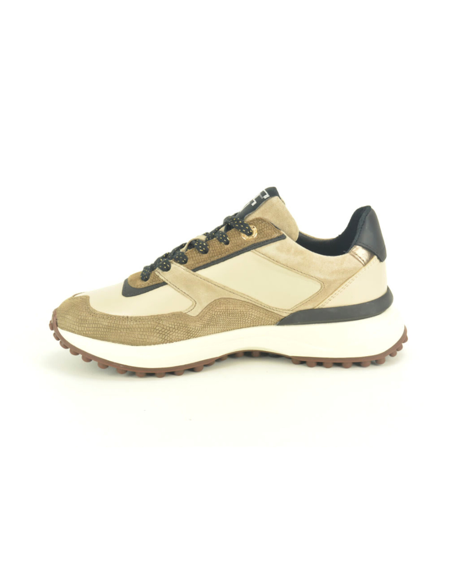 Floris van Bommel 15318 taupe