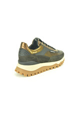 Floris van Bommel 15321 bruin