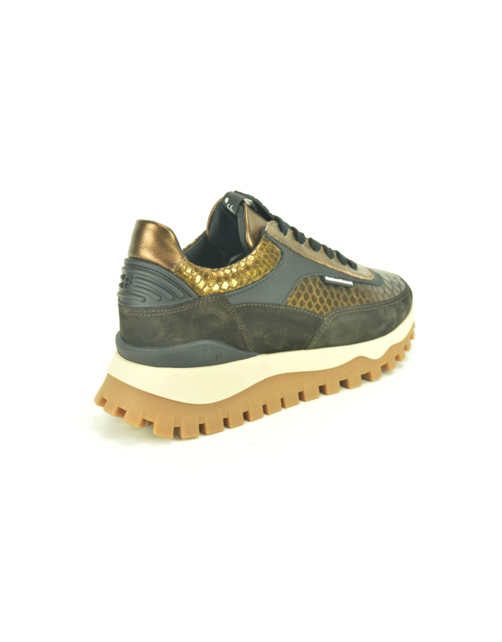 Floris van Bommel 15321 bruin