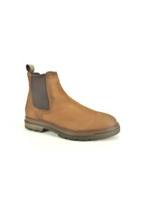 Berkelmans 15211 cognac bruin