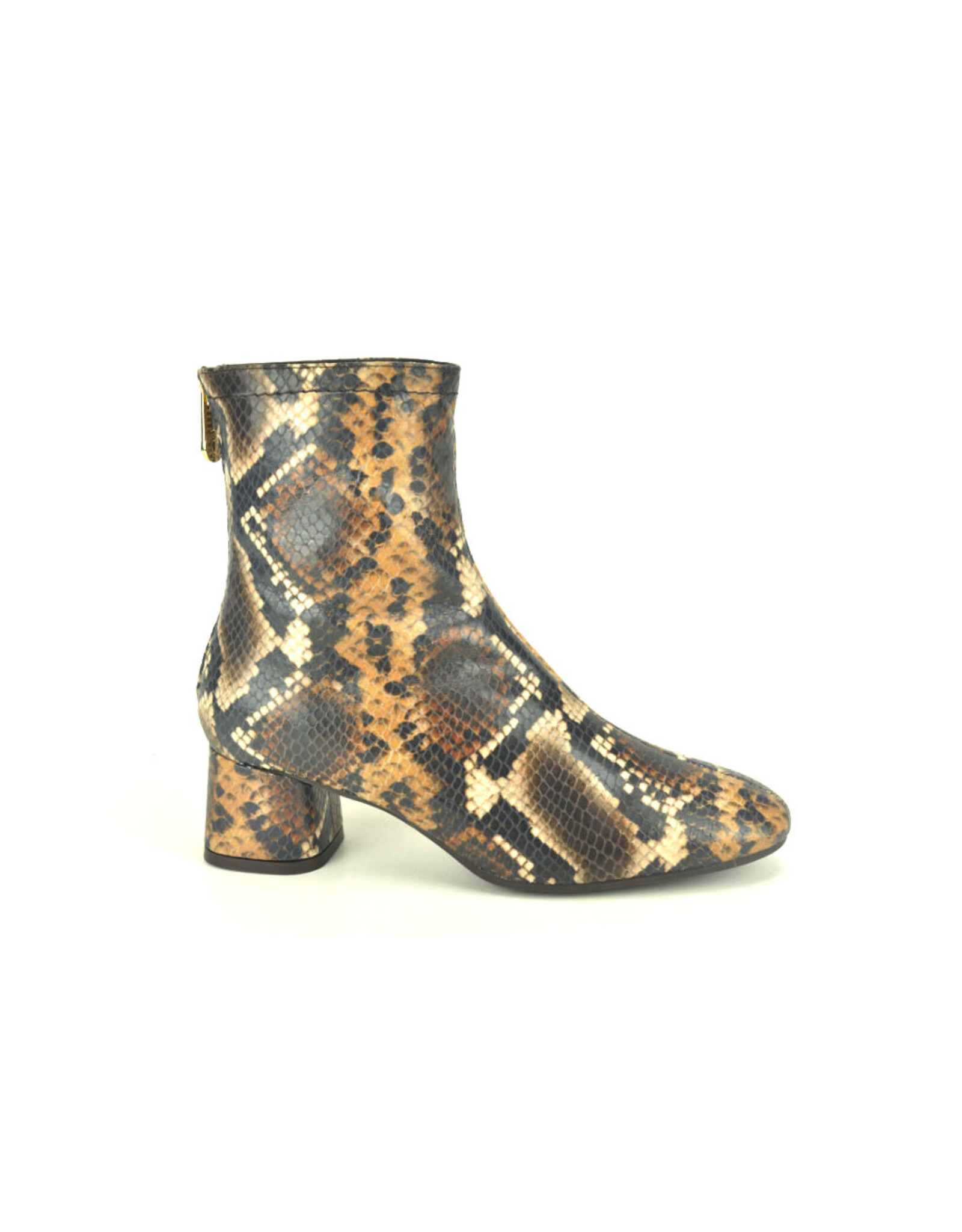 Pedro Miralles 15224 bruin