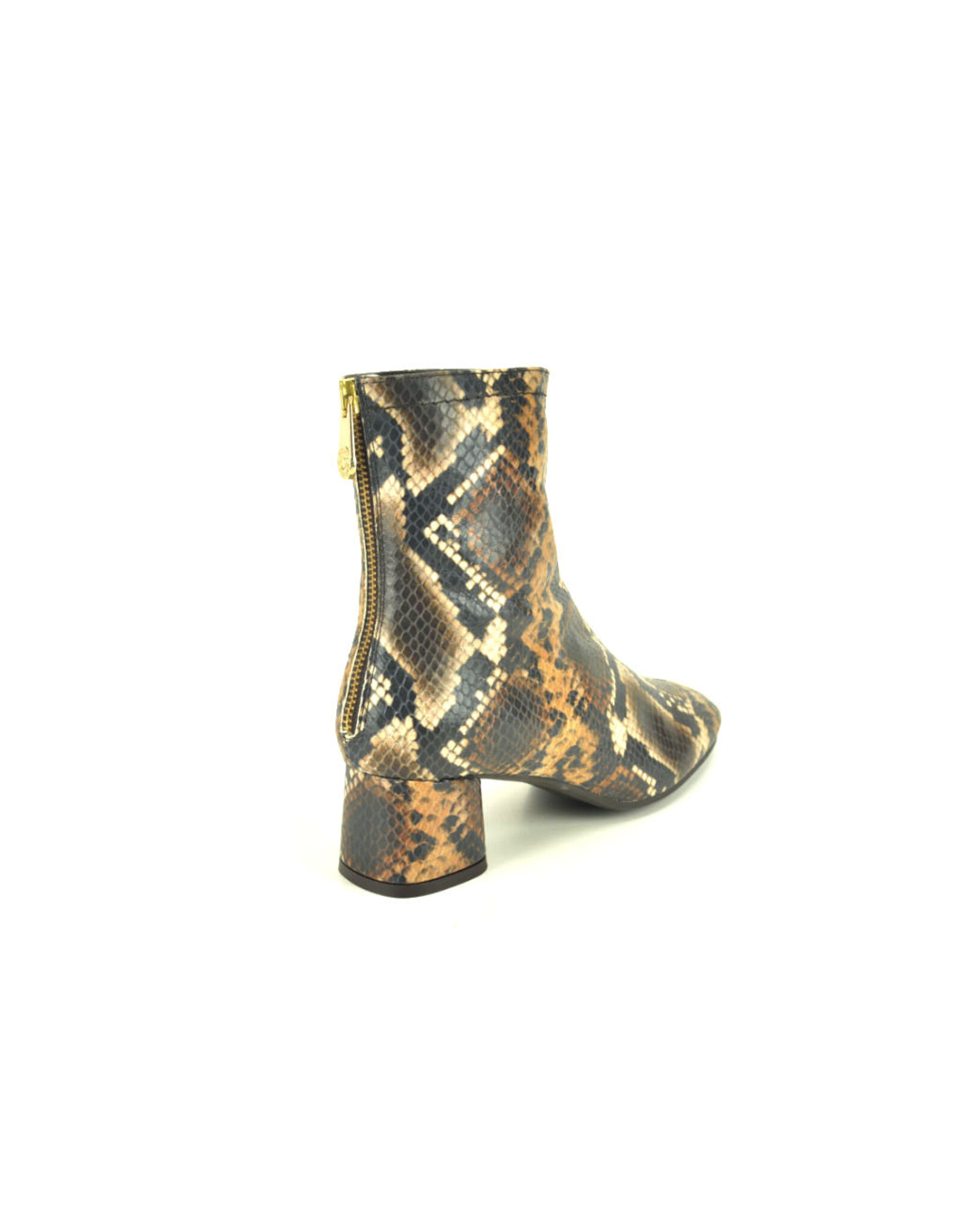 Pedro Miralles 15224 bruin