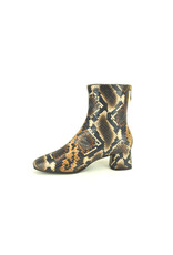 Pedro Miralles 15224 bruin