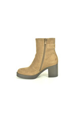 Nero Giardini 15237 taupe