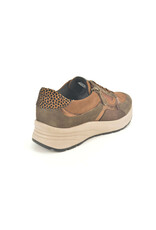 Gabor 15017 bruin