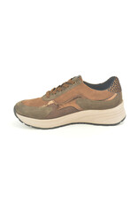 Gabor 15017 bruin
