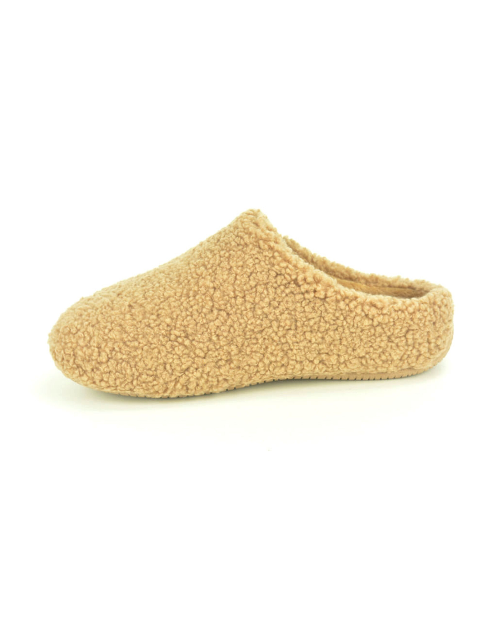 Verbenas 15229 camel