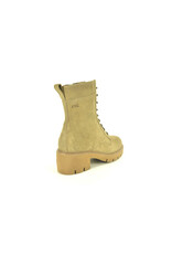 Nero Giardini 15248 taupe