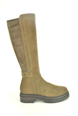 Nero Giardini 15250 taupe