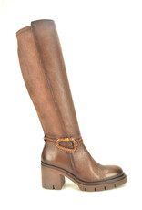 Hispanitas 15261 bruin