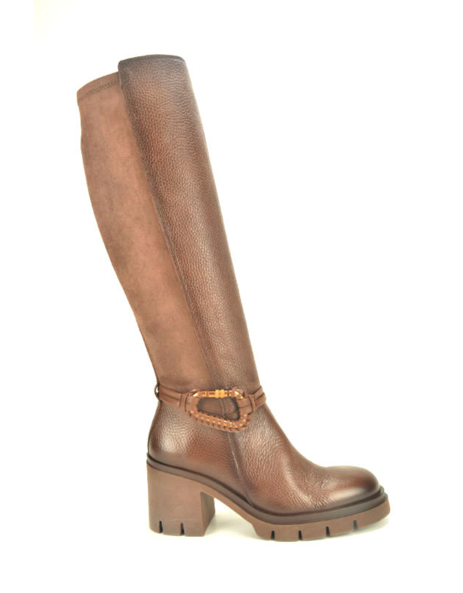 Hispanitas 15261 bruin