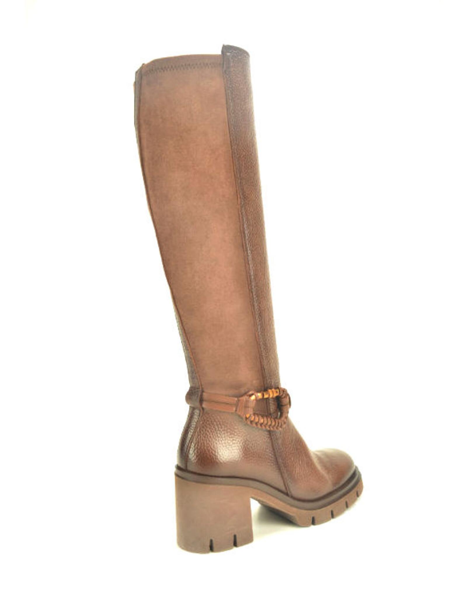 Hispanitas 15261 bruin