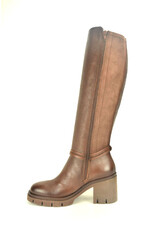 Hispanitas 15261 bruin