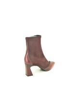 Hispanitas 15263 kleur
