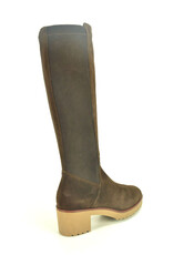DL-Sport 15293 bruin