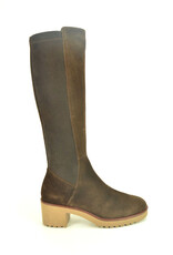 DL-Sport 15293 bruin