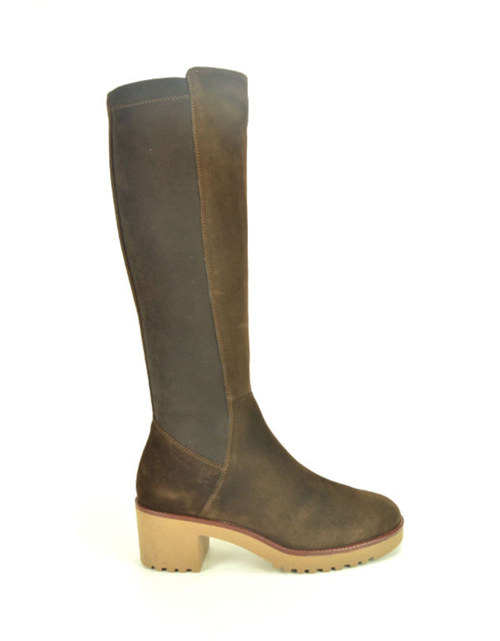 DL-Sport 15293 bruin
