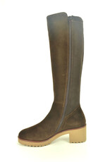 DL-Sport 15293 bruin