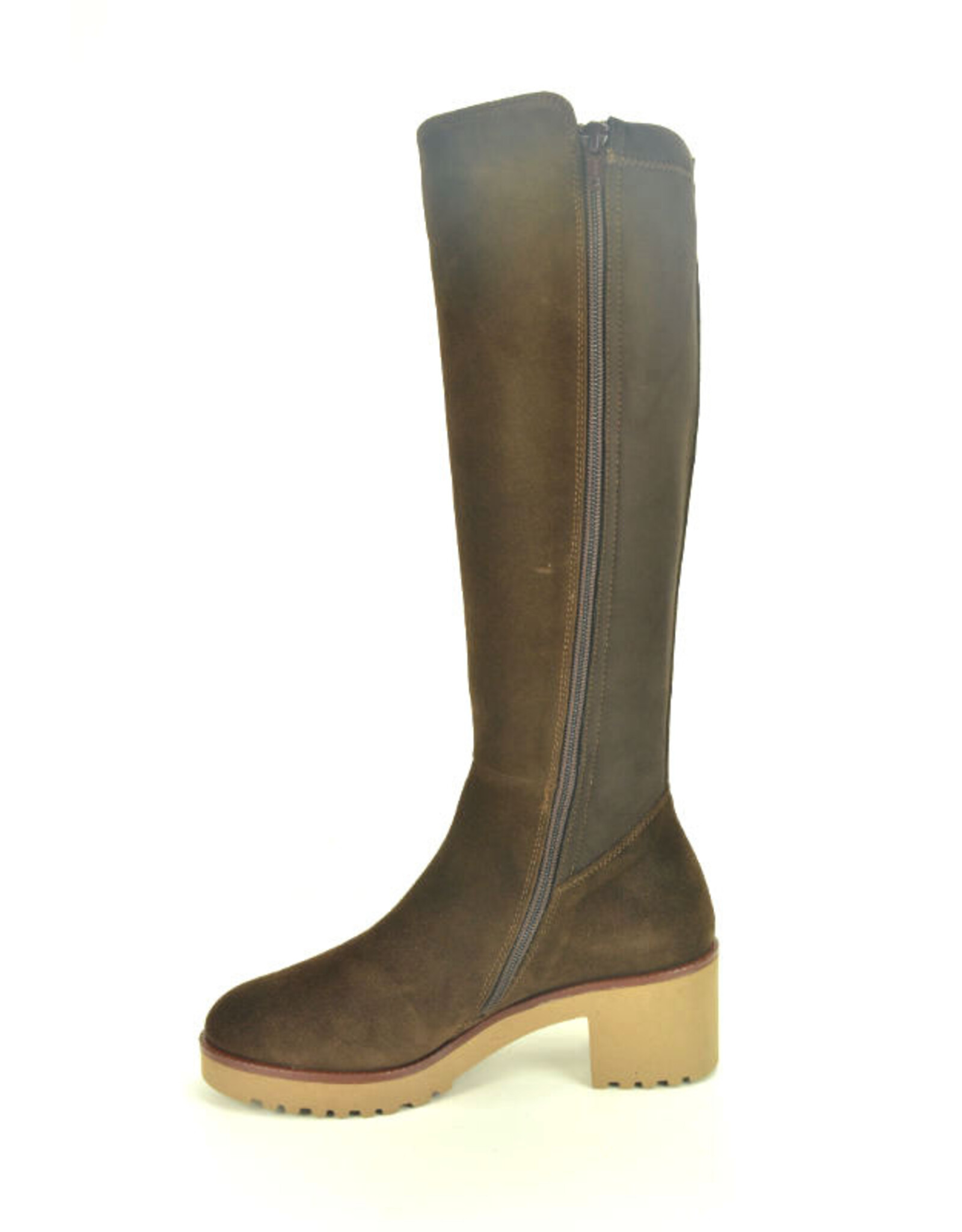 DL-Sport 15293 bruin