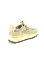 Floris van Bommel 15309 taupe