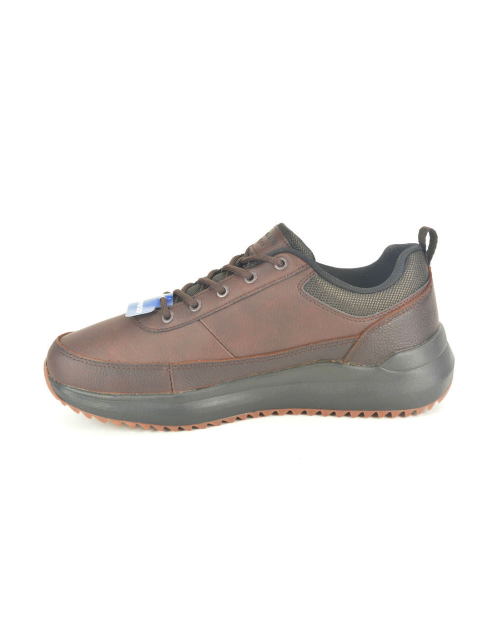Skechers 15162 bruin